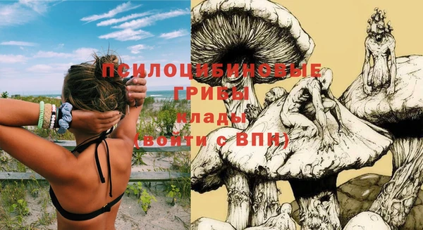 ешки Армянск